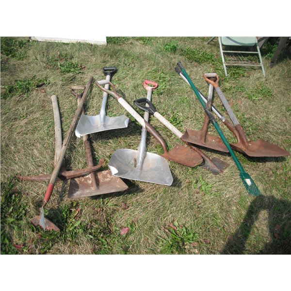 lot of shovels, edger, hoe, pickaxe