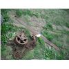 Image 1 : vintage steel pulley and crosscut saw