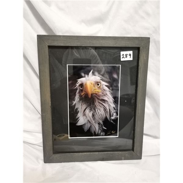Jason Leo Bantle Framed Photograph – “Bad Day”
