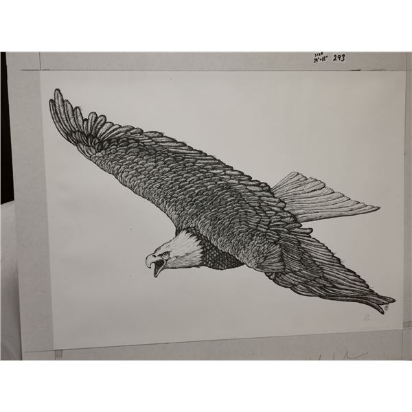Numbered Limited Edition Soaring Bald Eagle Pen & Ink Art Print – 24" x 18"
