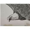 Image 3 : Numbered Limited Edition Soaring Bald Eagle Pen & Ink Art Print – 24" x 18"