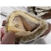 Image 5 : Toms Mukluks Great Condition, US Size 9