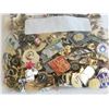 Image 2 : Large lot of Pins