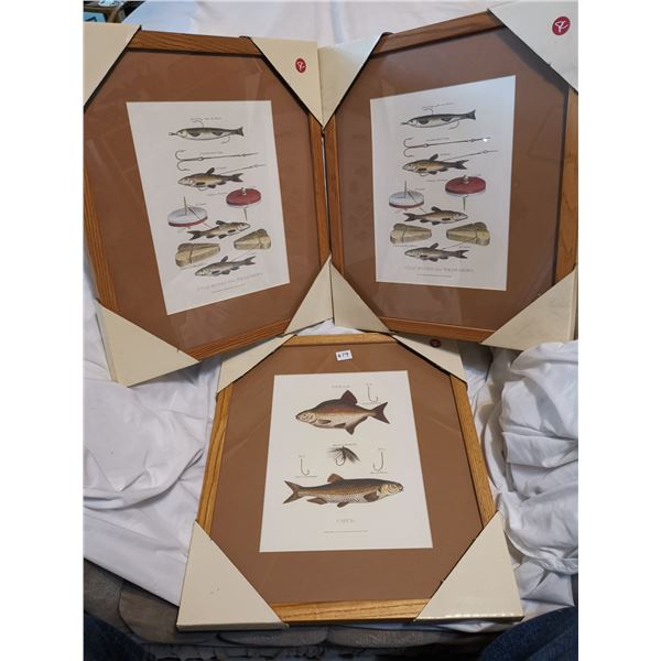 Three Framed Fish, Lures British Prints