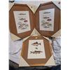 Image 1 : Three Framed Fish, Lures British Prints
