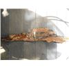Image 4 : CARVED CEREMONIAL FEATHERS, SIGNED