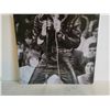 Image 3 : Tin Elvis Sign – 11.75 x 15.75”