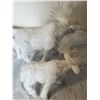 Image 4 : (2) Moose Figurines – 15” & 11”