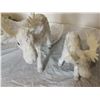 Image 5 : (2) Moose Figurines – 15” & 11”
