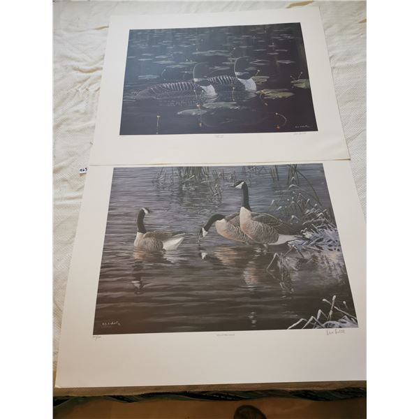 (2) Dave Hiebert Prints (Ducks & Loons) – 29.5”x25”