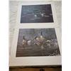 Image 1 : (2) Dave Hiebert Prints (Ducks & Loons) – 29.5”x25”