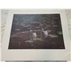 Image 5 : (2) Dave Hiebert Prints (Ducks & Loons) – 29.5”x25”