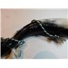 Image 2 : COLUMBIAN ICEFIELDS, SOUVENIER HORN