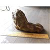 Image 3 : LARGE BRASS LION FIGURINE