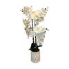 Image 1 : Artificial White Phalaenopsis Orchid Arrangement in Textured Ceramic Planter
