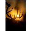 Image 2 : 2026 IOWA SPECIAL NONRESIDENT DEER LICENSE