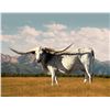 Image 1 : LITTLE BIT OF HORN