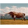 Image 1 : LADY CHEX 7/3