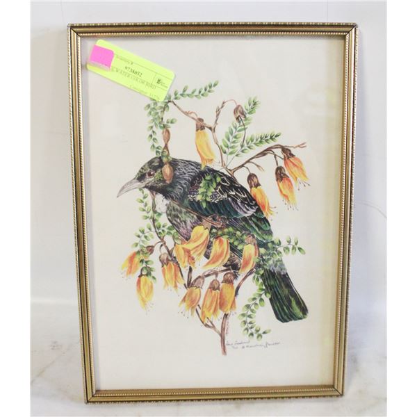 VINTAGE WATER COLOR BIRD