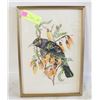 Image 1 : VINTAGE WATER COLOR BIRD