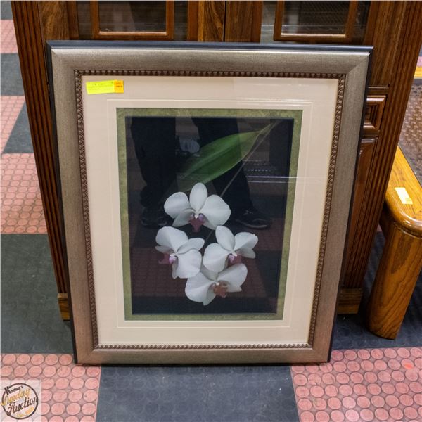FRAMED 32" ORCHID FLOWERS PHOTOGRAPH