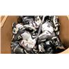 Image 2 : PALLET CRATE OF APPROXIMATELY 50 ASSORTED PAIRS OF SKI BOOTS *MUST TAKE ALL ON PALLET, PALLET CRATE