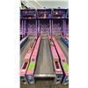 Image 1 : ICE BALL DIGITAL SCORE BOARD SKEE-BALL COMMERCIAL COIN OPERATED ARCADE REDEMPTION MACHINE