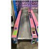Image 3 : ICE BALL DIGITAL SCORE BOARD SKEE-BALL COMMERCIAL COIN OPERATED ARCADE REDEMPTION MACHINE