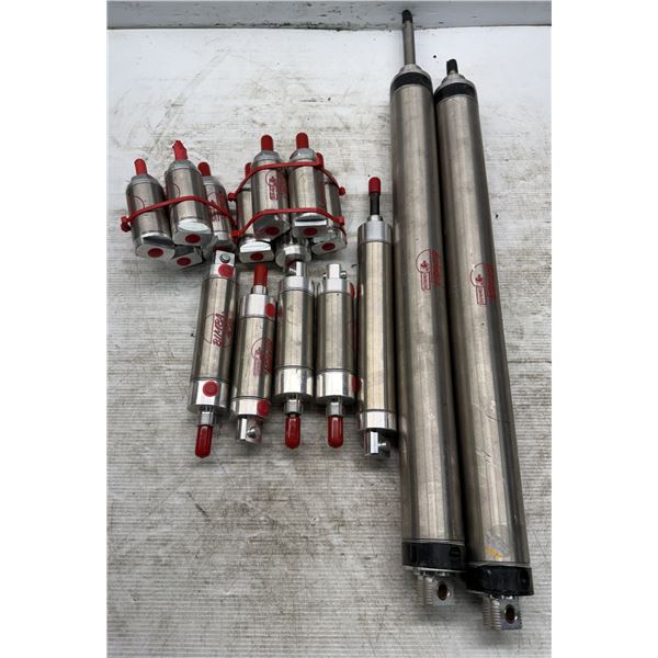 Lot of (16) Misc. Bimba Cylinders