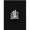 Image 2 : Elvis/Hugh Hefner Playboy 14K Ring
