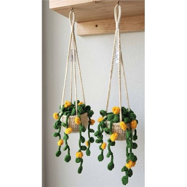 Lot of 2 - Crocheted Mini Hanging Plant Pots Aprox 6"