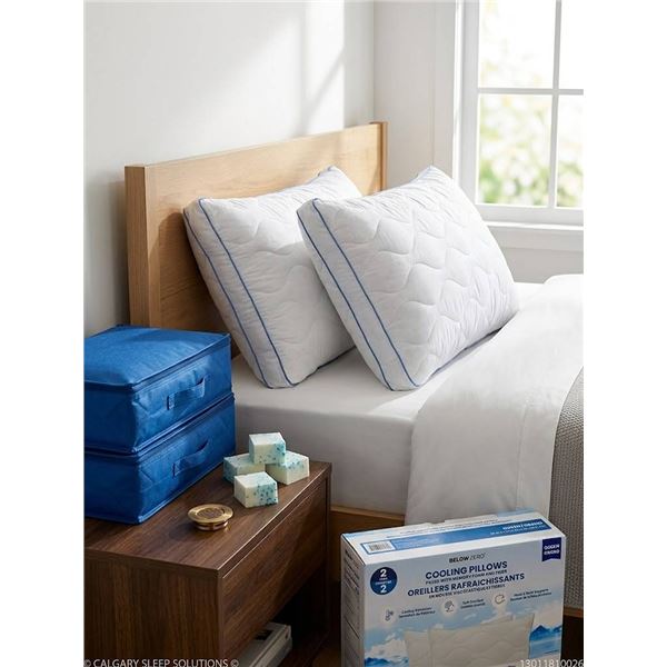Below Zero Queen Cooling Pillows, 2 Pack