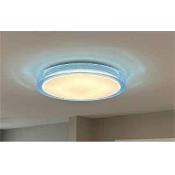 15-Inch Dimmable LED Ceiling Light