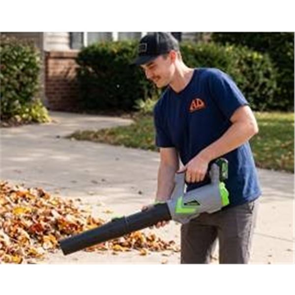 20V Max Cordless Leaf Blower