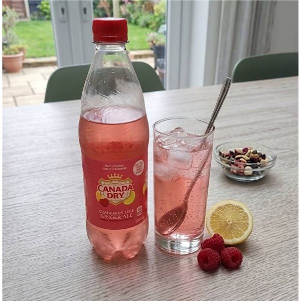 Canada Dry Raspberry Ginger Ale 24 x 500ml