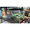 Image 2 : 20"L  X 12"H X 10"D FISH TANK WITH NET & SLIM FILTER