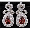 Image 1 : SILVER(4.8G), GARNET (APP 1CT) EARRING, SUGGESTED RETAIL VALUE $360