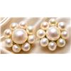 Image 1 : 14K  FRESH WATER PEARL  EARRING, SUGGESTED RETAIL VALUE $320