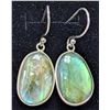 Image 1 : SILVER(4G),  LABRADORTIE (12CT) EARRING, SUGGESTED RETAIL VALUE $240