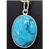 Image 1 : SILVER(1.81G),  TURQUOISE (7CT) PENDNAT