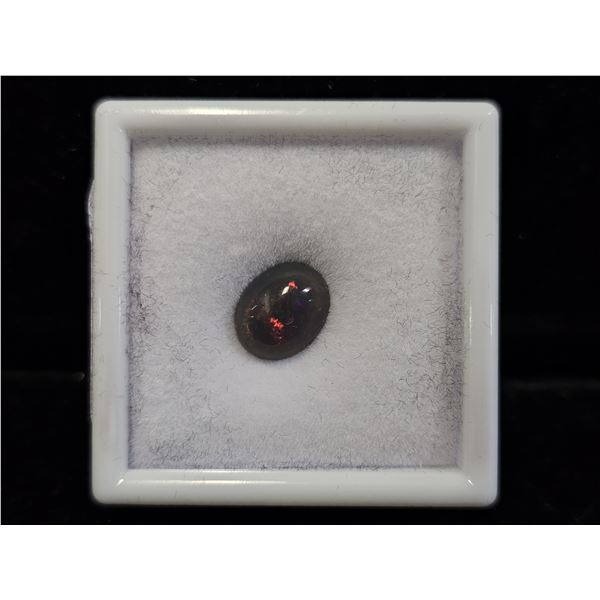 2.7 CT OVAL CUT UNTREATED NATURAL BLACK OPAL: 8.9MM X 11MM