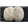 Image 2 : FIRST NATIONS FULL-GROOVED SINKER STONE