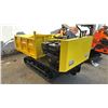 Image 3 : *NEW* SDLANCH SDLD25 MINI RIDE-ON DUMPER