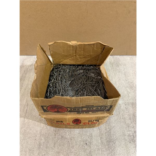 Large Box Of Finishing Nails