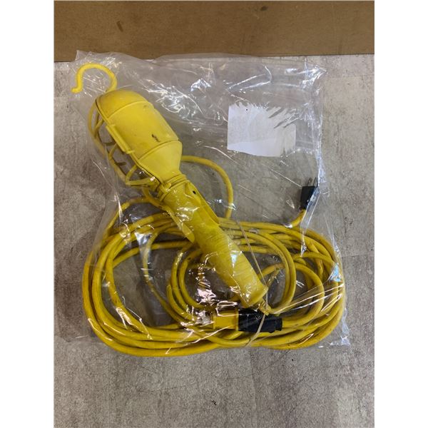 Light With Cage & Extension Cord