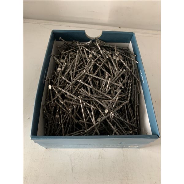 10 LBS Of 3 1/4in Nails