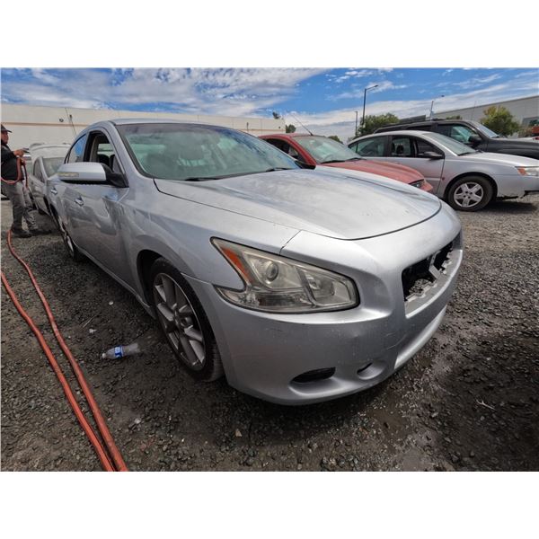 NISSAN MAXIMA 2011 OS/T SALV-DON