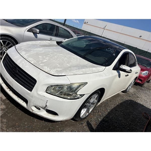 NISSAN MAXIMA 2010 T
