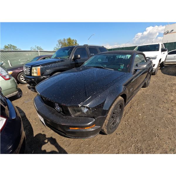 FORD MUSTANG 2006 T-DONATION