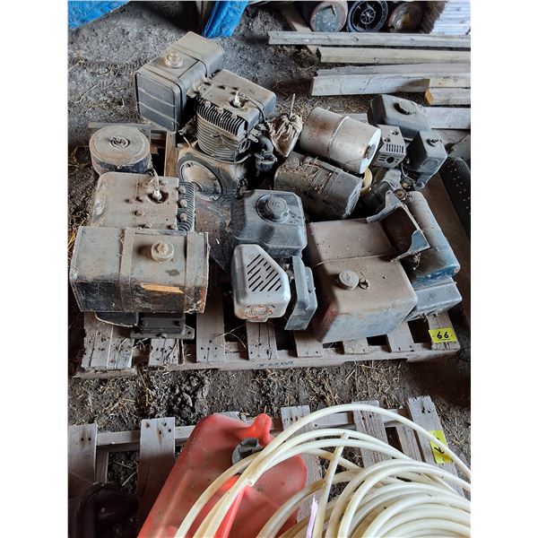 Briggs and Stratton Gas Motors